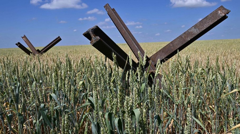 Food may be the ultimate  weapon in the 21st century