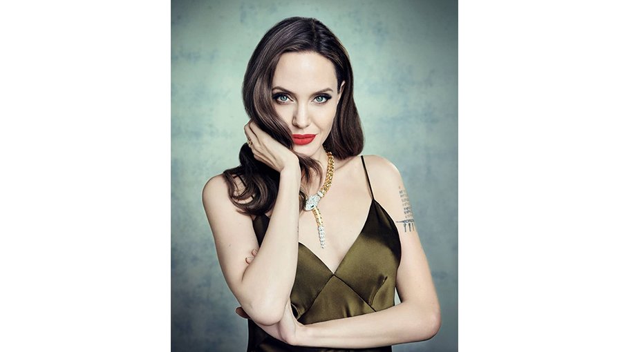 Jolie wins legal battle against Pitt over French winery
