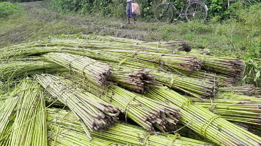 Farmers of Jibannagar desperate for alternative source of water