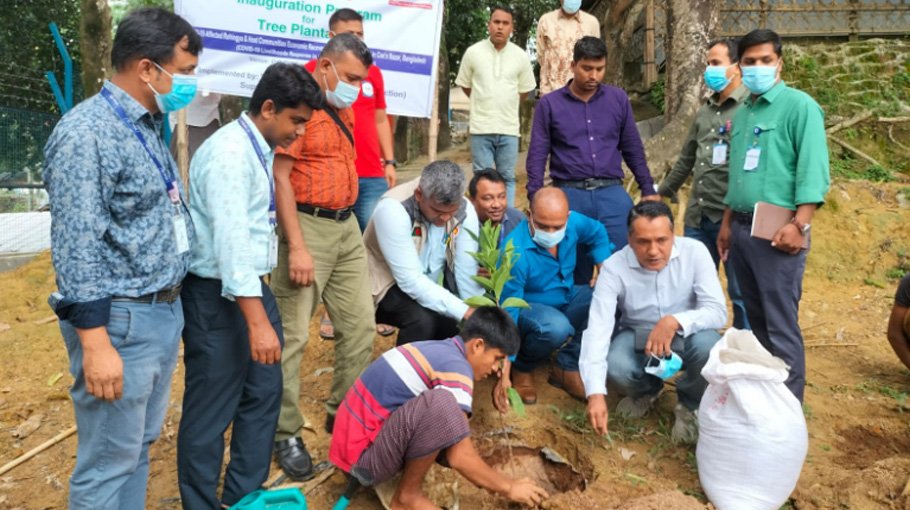 Planting trees vital to keep ecological balance