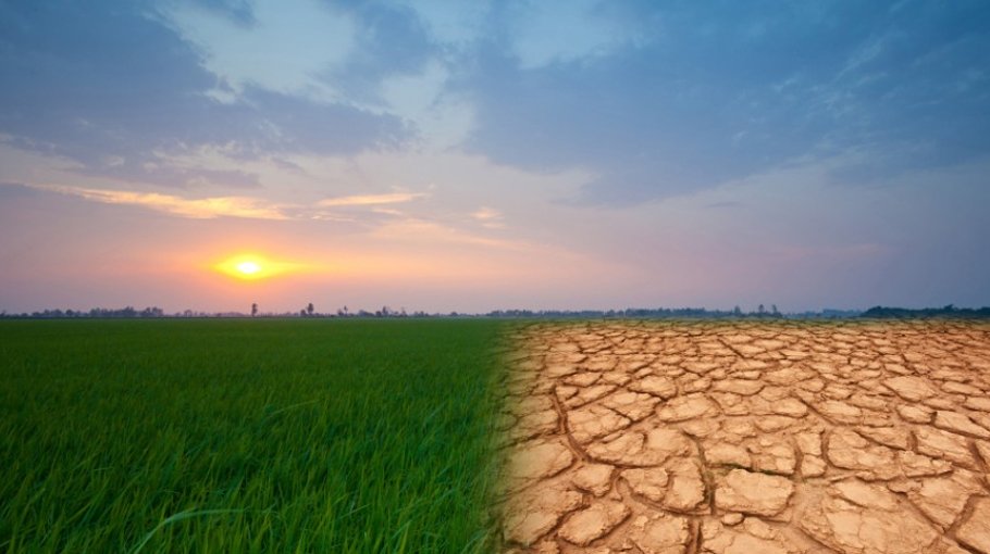 Drought in rainy season  affects agriculture 