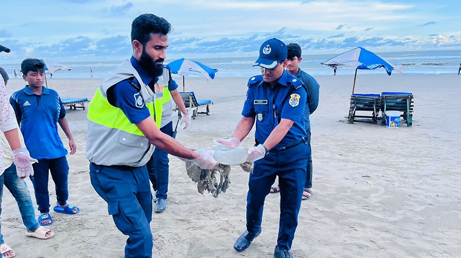 Tourist police bury dead jellyfish in sand
