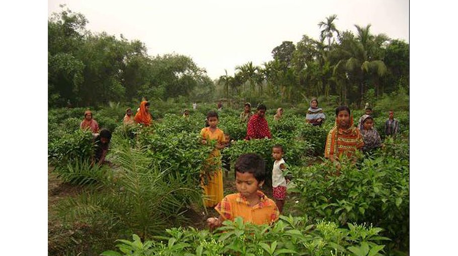 4,000 women, children attaining self-reliant thru flower business