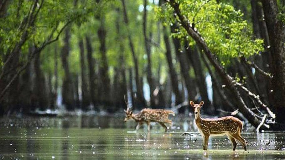 High tide floods parts of Sundarbans