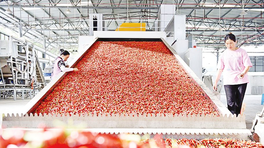 China deepens agriculture cooperation to safeguard global food security