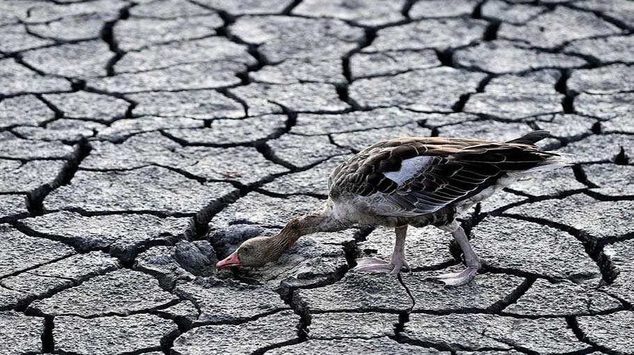 Europe’s drought could have a long afterlife