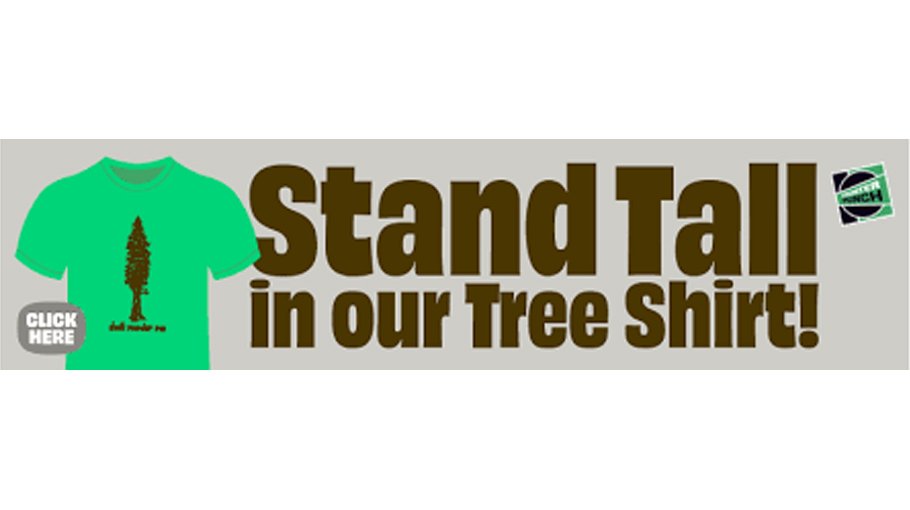 Climate change: Endless words, where’s the action?