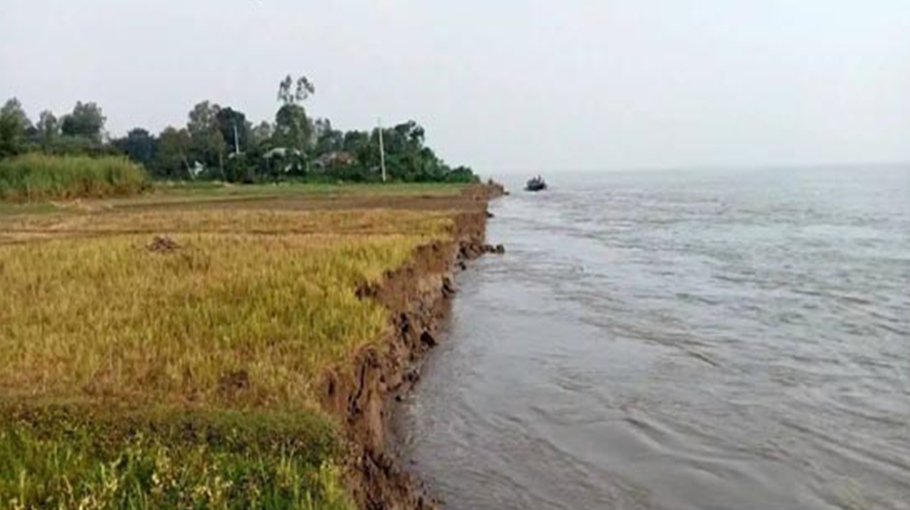 River erosion in Bera  as water level rises  in Jamuna