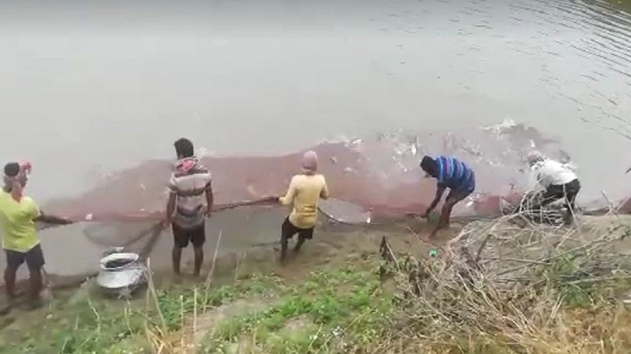 Fish production in Chuadanga beats target