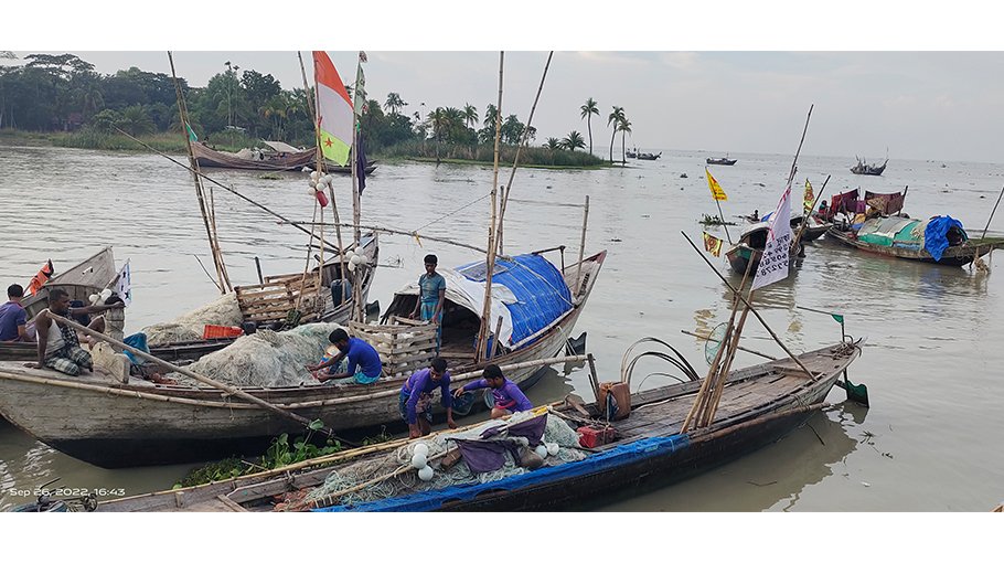 Hilsa dear despite big catch