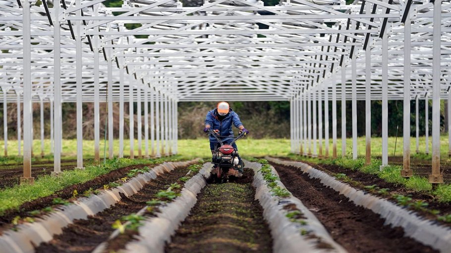 Throwing shade is solar energy’s new superpower
