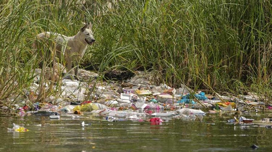 UN climate summit begins in Kenya  next week