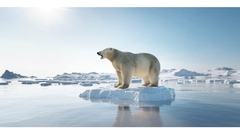 Sea level rise doubles since ’93