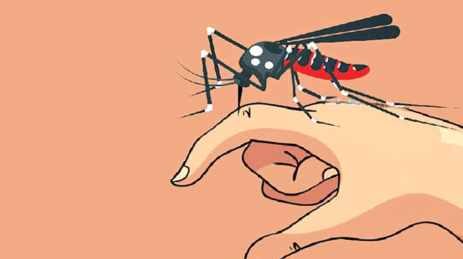 Mosquito menace on the rise in Kishoreganj