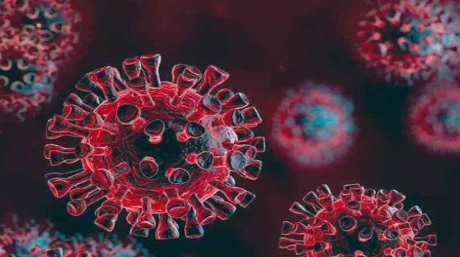 Bangladesh registers 19 more Covid cases in 24 hrs