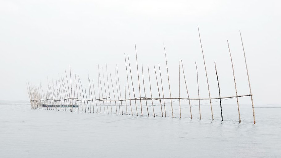 Illegal fishing rampant in Jamuna River