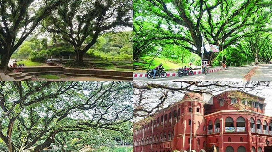 No hospital in CRB: Minister