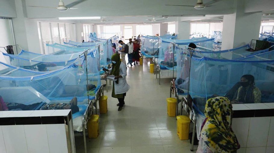 Three dengue deaths, 410 hospitalised   in 24 hrs