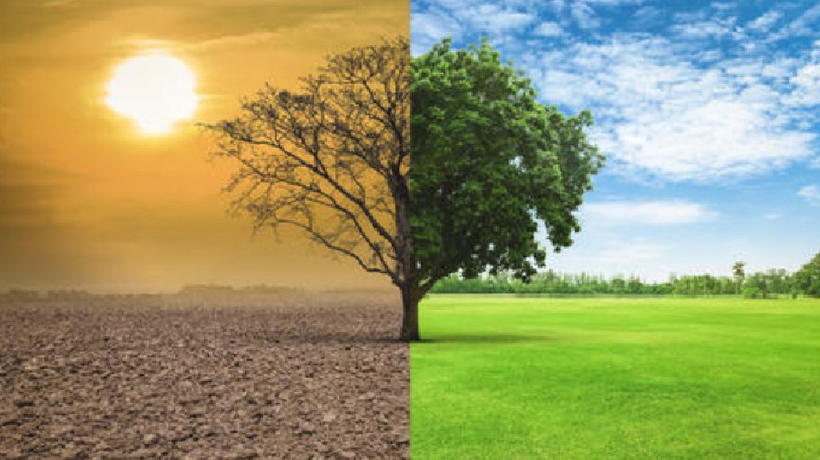 What climate debt does the north owe the south?