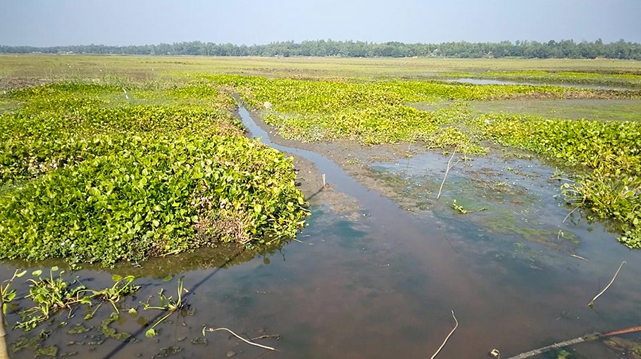 Narka Canal invites misery for people in 30 villages