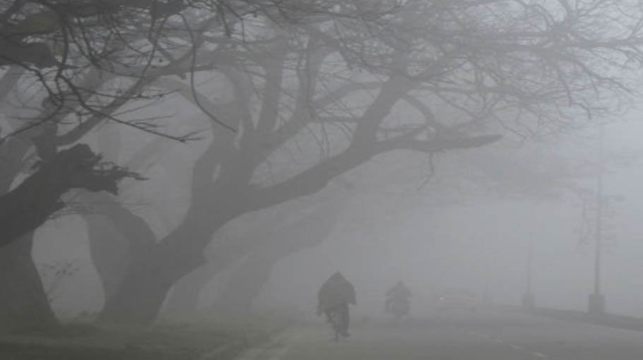 Cold wave likely after mid-Dec 