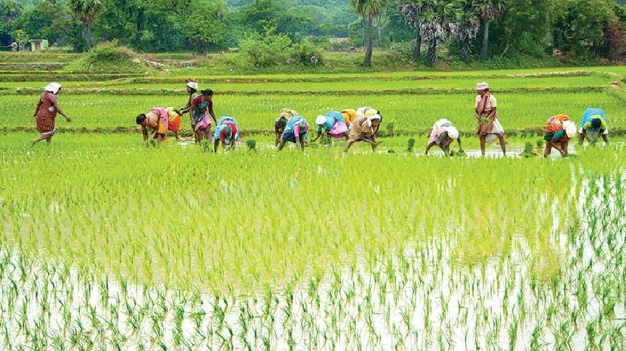 Low carbon agriculture for better Bangladesh
