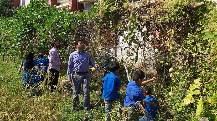 School in Mirsharai set  example by veg farming