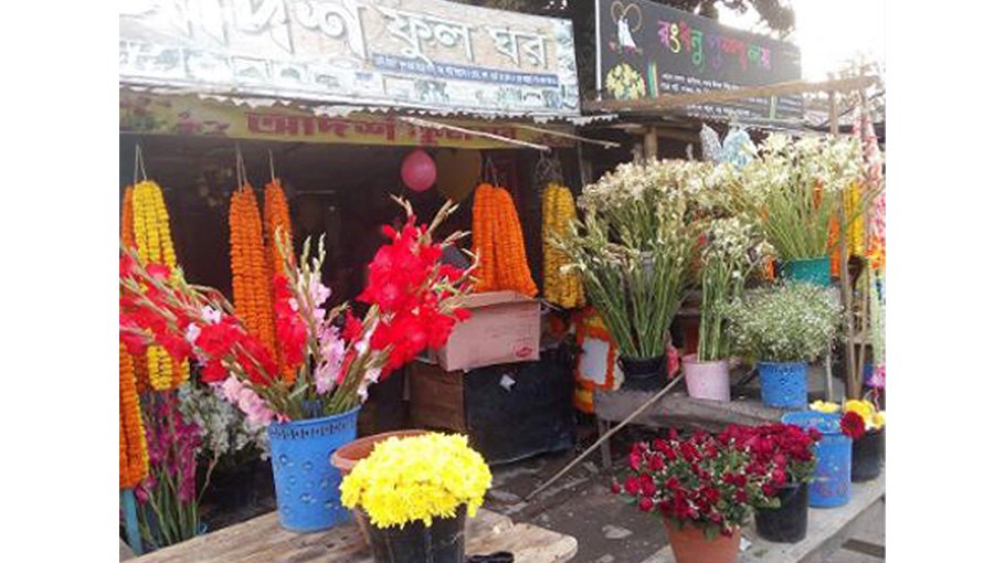 Winter flower production starts in Chuadanga