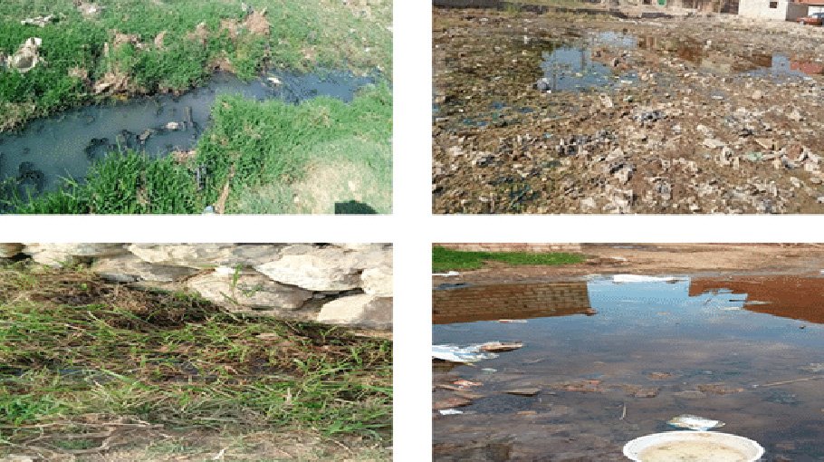 Drainage lines, water bodies breed mosquitoes