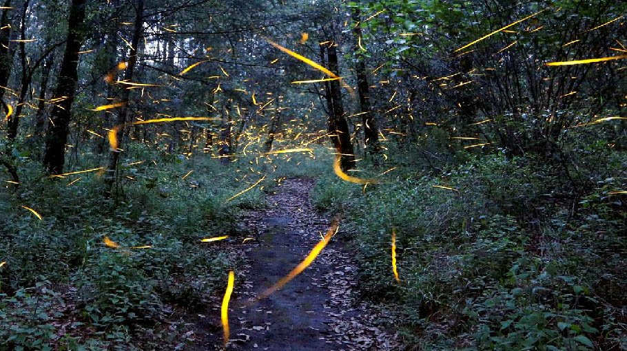 2022’s nature-inspired solutions   