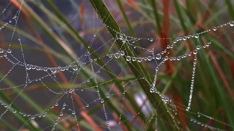 The intensity of winter increases in Sylhet