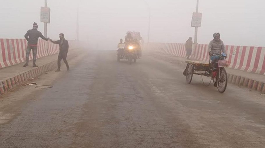 Dense fog damages cropland in Chuadanga, farmers in distress