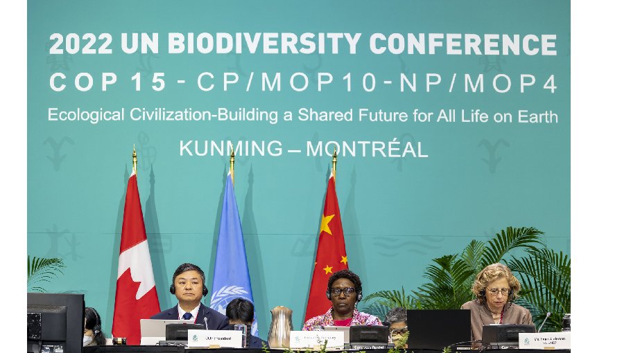 COP15 has had better results than anticipated  