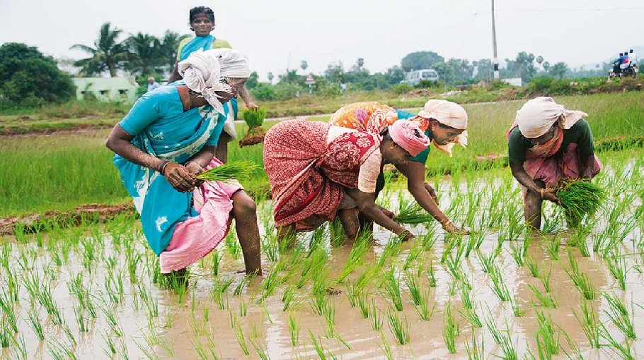  Business training to farmers stressed