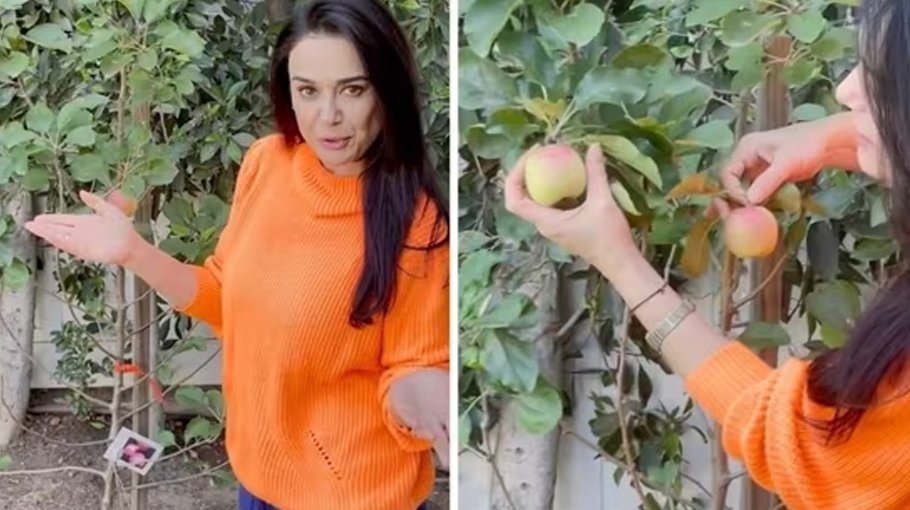 Preity takes fans on tour of her ‘ghar ki kheti’ in US
