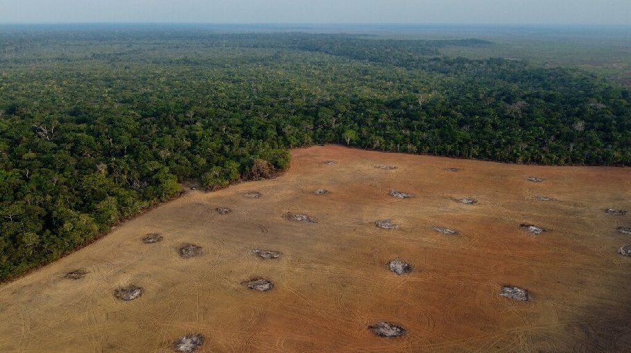 Brazil begins first operations to  protect Amazon
