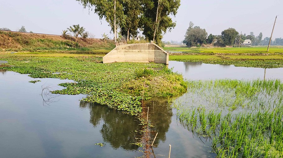 Bridges without approach roads in Gazipur remain unused