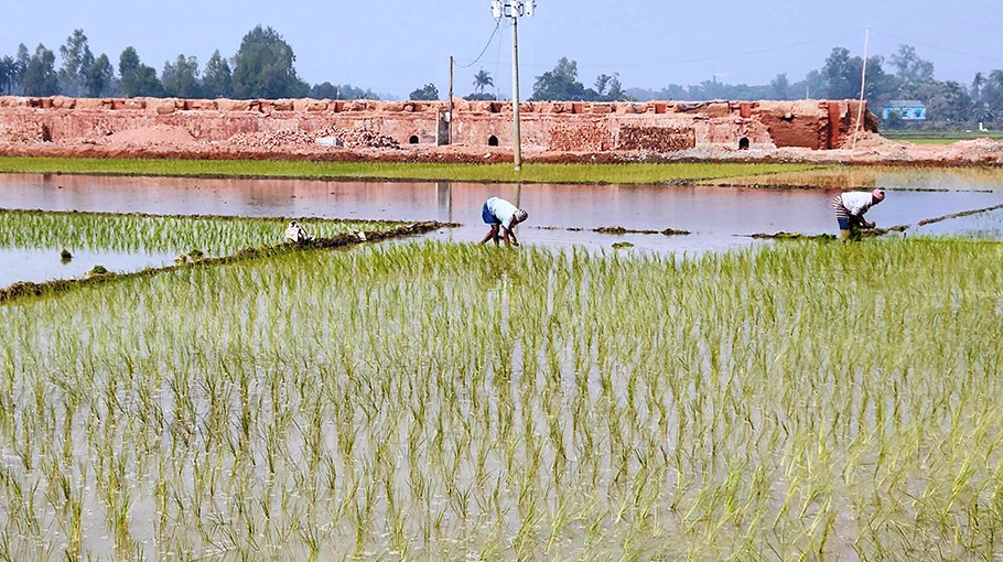 Constant drive against illegal brick kilns in Gazipur