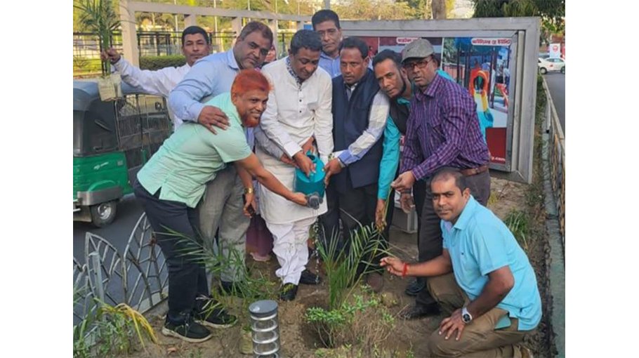 Planting trees to protect environment stressed
