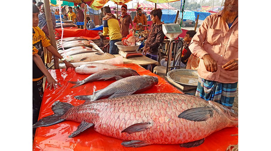 Poradaha fair held in Bogura amid festivity