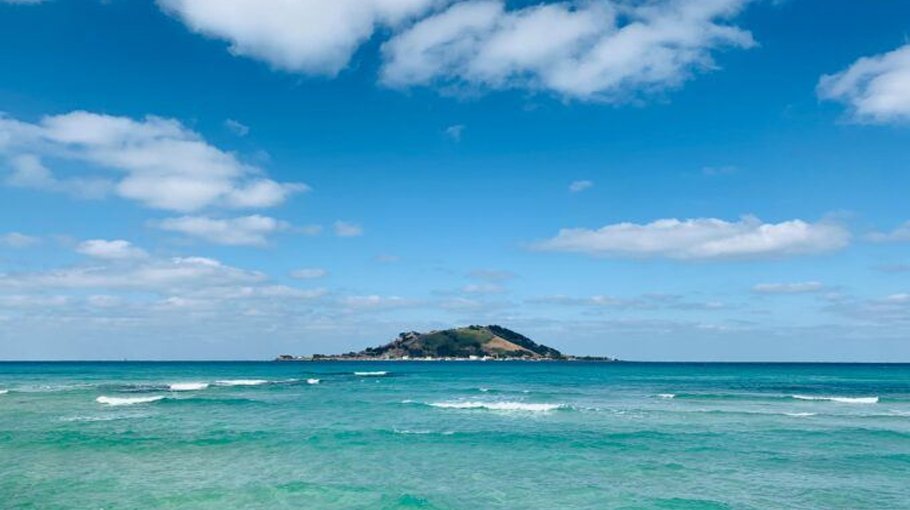 Climate Code Red analysis and sea level warnings