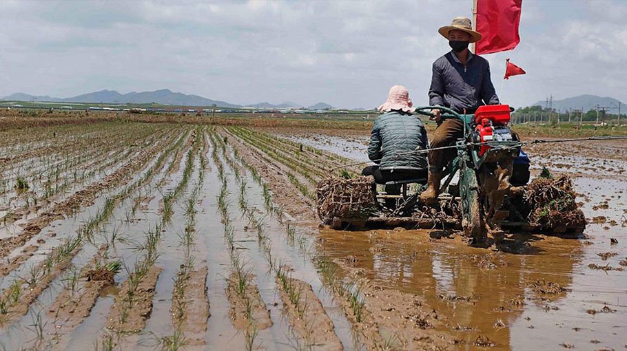 N Korea food shortage worsens amid COVID, but no famine yet