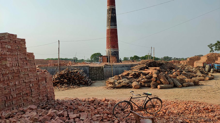 Brick kilns in Chuadanga burning woods causing eco-disaster