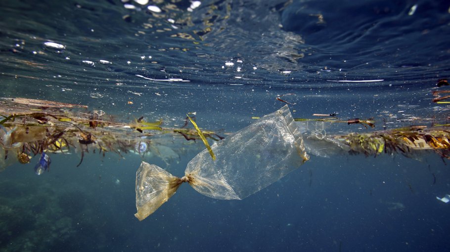 Nutrition clubs raise voice against plastic use