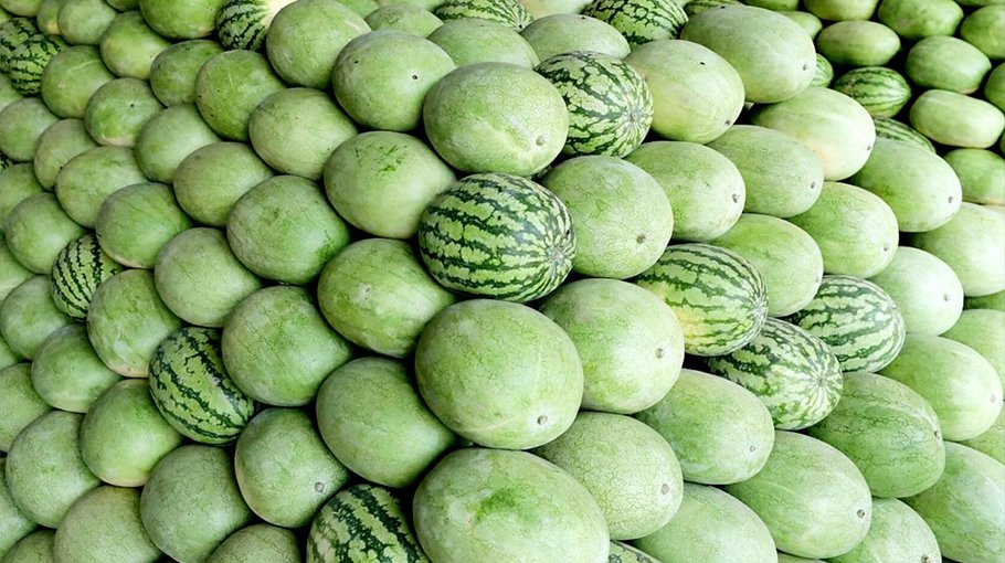 Narsingdi market glutted with  Watermelon, prices higher  