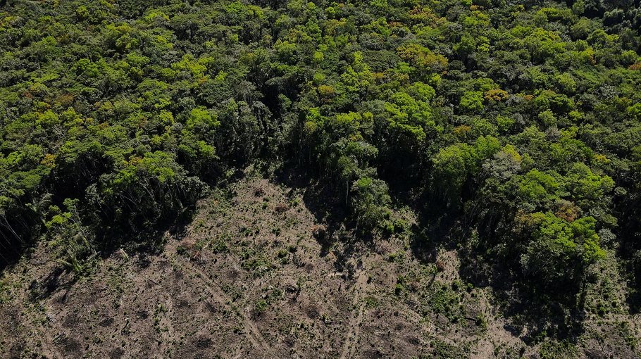Record deforestation in Brazilian Amazon in Feb