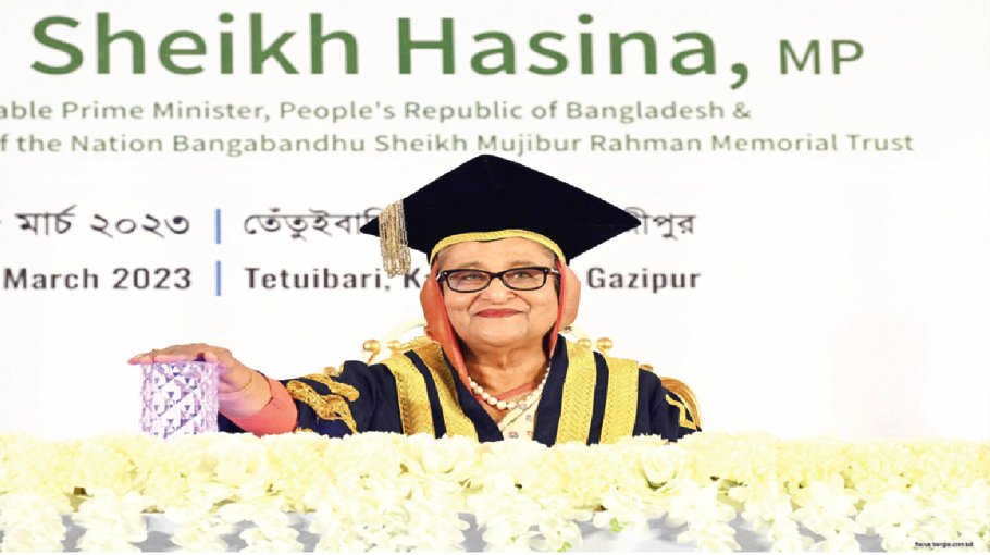 Engage in nursing education, service largely  