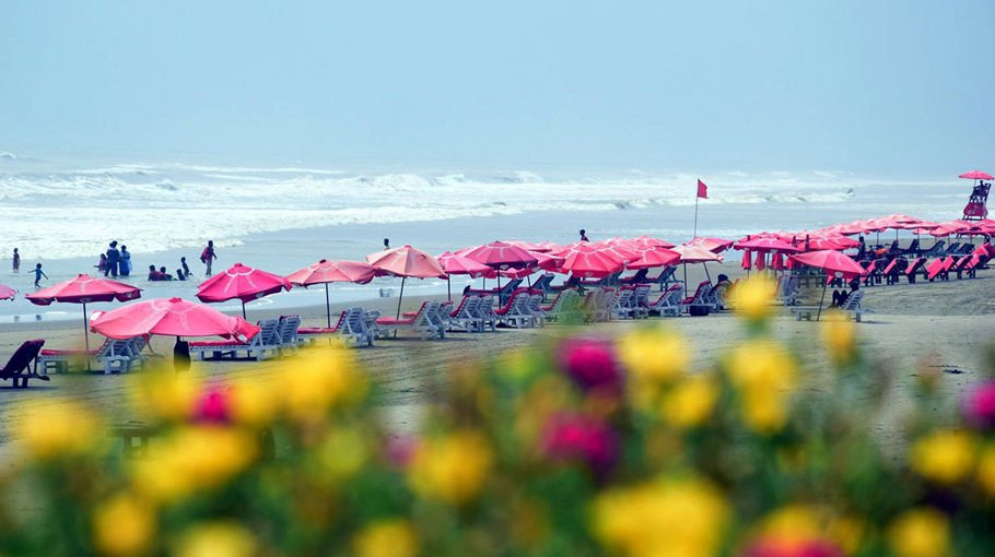 Cox’s Bazar holds maiden commercial flower fair