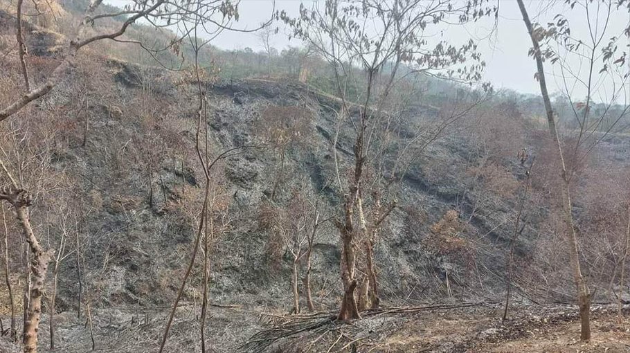 Forest fire in Patharia  hills, officer recalled