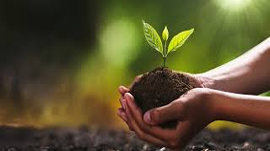 Climate and the culture of fear